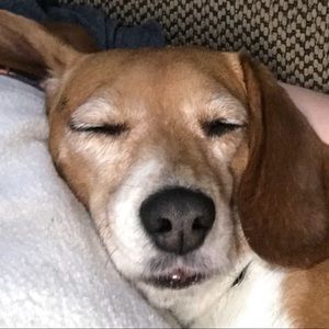 Meet your Posher, Nick